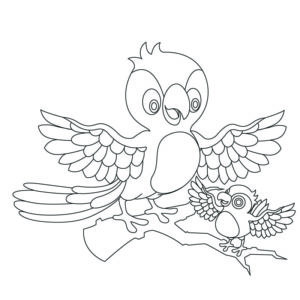 愛學人的鸚鵡 - 兒童著色圖下載